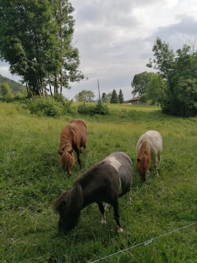 Casa Ester Serina  Zewnętrze zdjęcie